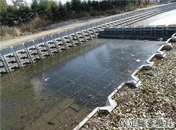 河道護(hù)坡模具 河道護(hù)坡模具